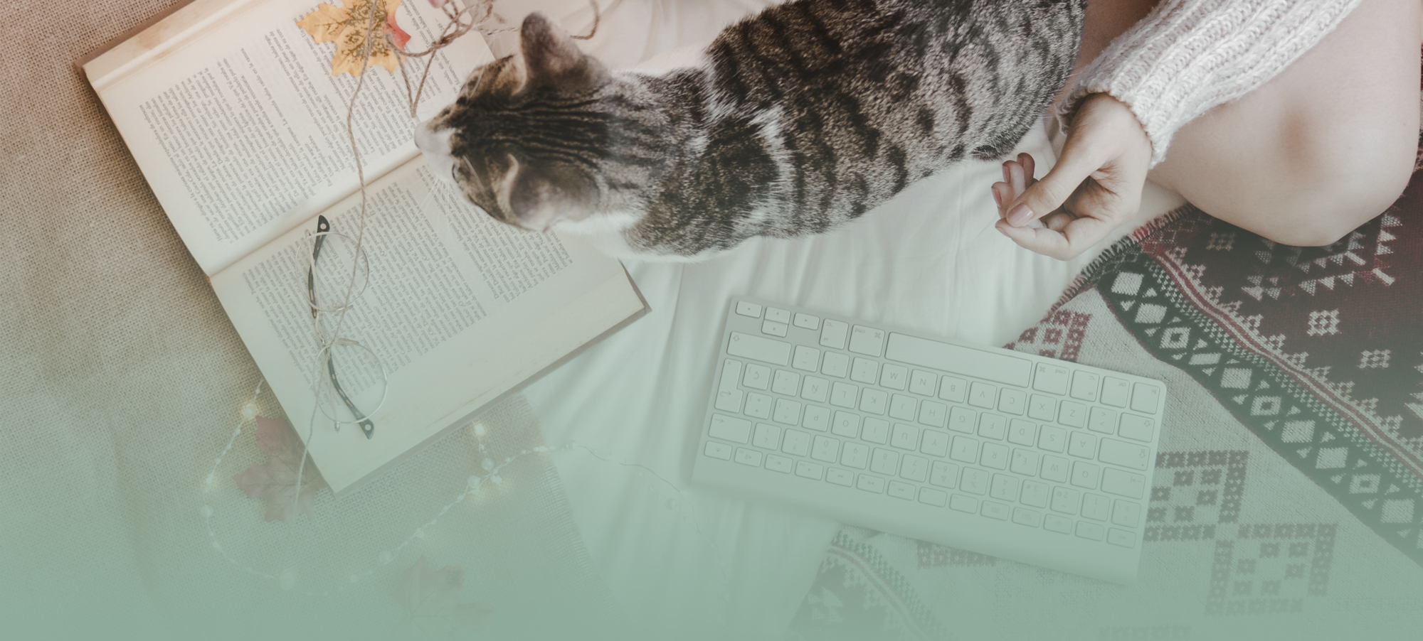 Terms and Conditions